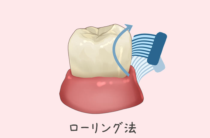 ローリング法による歯磨き方法の図解(歯ぐきからは先へ回転させて磨く)