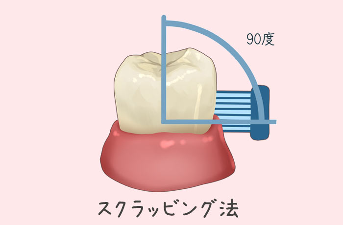 スクラッビング法の図解(歯ブラシ90度)